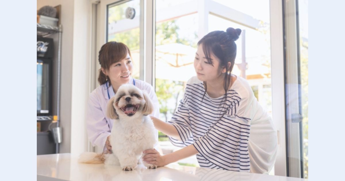安心できる動物病院の選び方